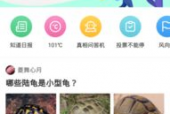 九一网页版免费在线电脑网页版